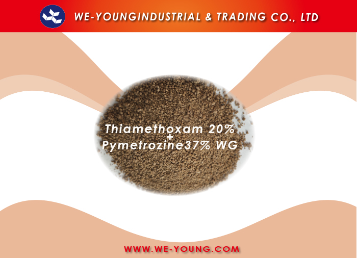 Thiamethoxam+Pymetrozine