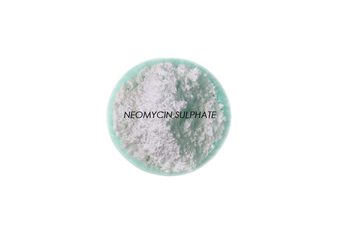 Sulfate De Neomycine